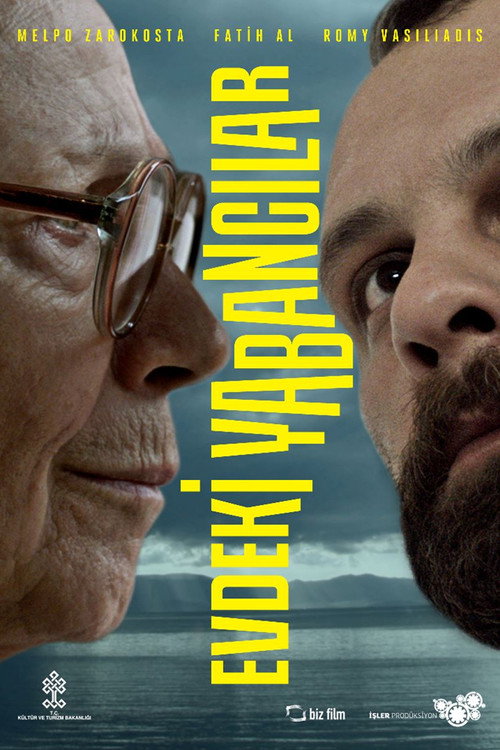 Movie poster for Strangers in the House (2013)