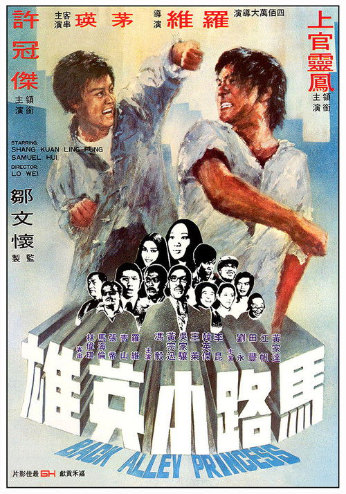 Movie poster for Back Alley Princess (1973)