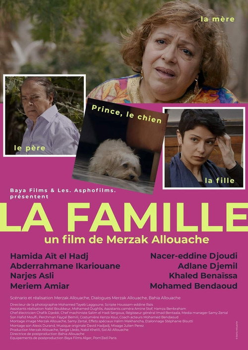 Movie poster for The Family (2024)
