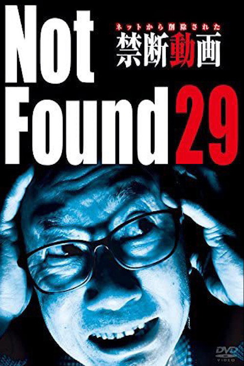 Movie poster for Not Found 29 (2017)
