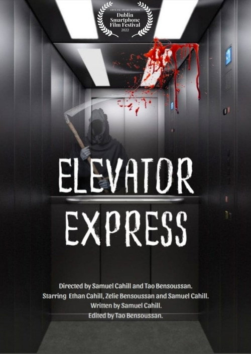 Movie poster for Elevator Express (2021)