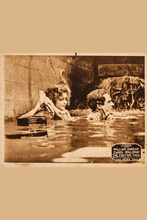 Movie poster for The Fighting Trail (1917)