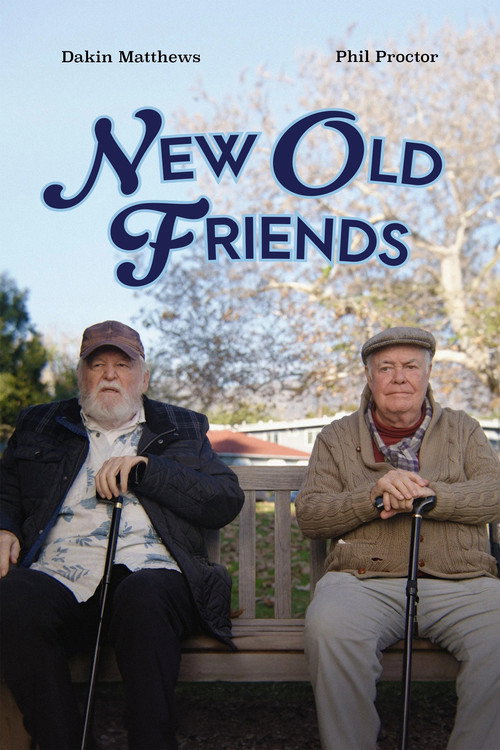 Movie poster for New Old Friends (2024)
