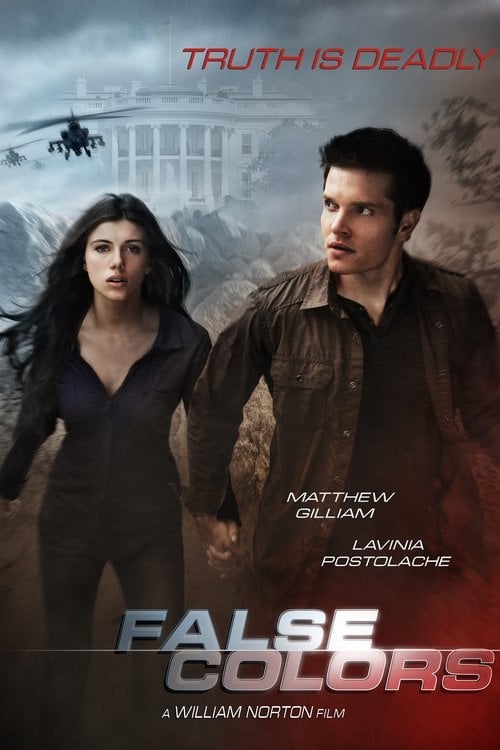 Movie poster for False Colors (2020)