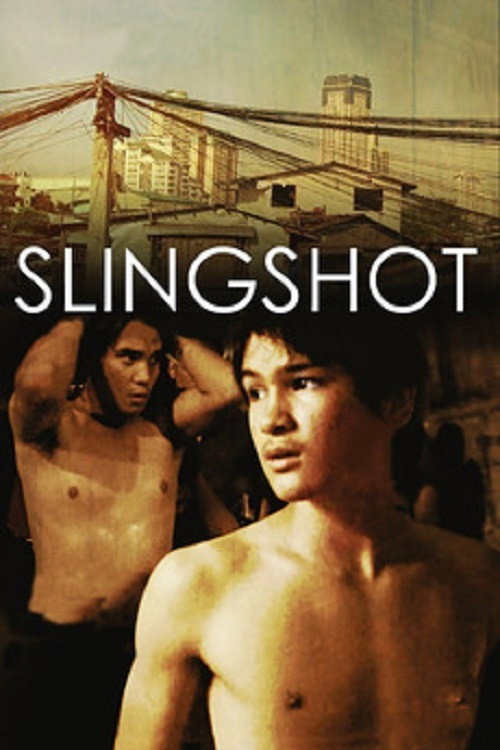 Movie poster for Slingshot (2008)