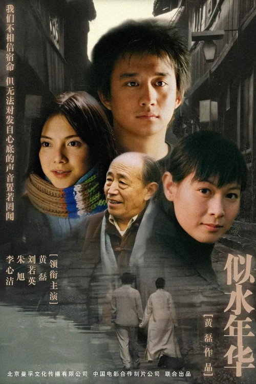 似水年华 poster