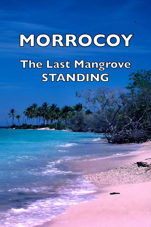 Movie poster for Morrocoy: The Last Mangrove Standing (2000)