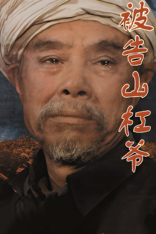 Movie poster for The Accused Uncle Shangang (1994)