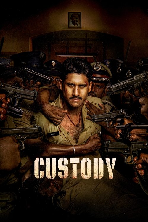 Movie poster for Custody (2023)