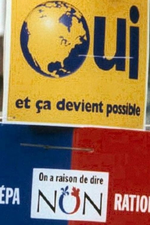 Movie poster for Referendum: Take 2 (1996)