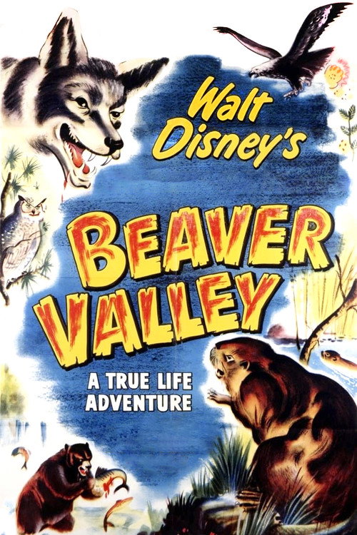 Movie poster for Beaver Valley (1950)