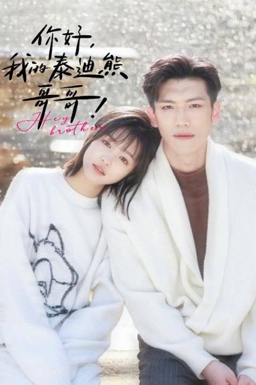 你好我的泰迪熊哥哥 poster