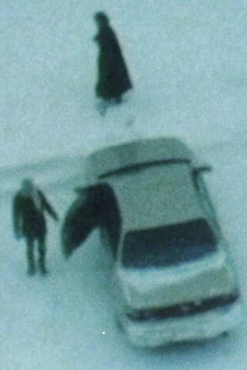 Movie poster for The Mirage, The Horizon (Short Version) (1997)