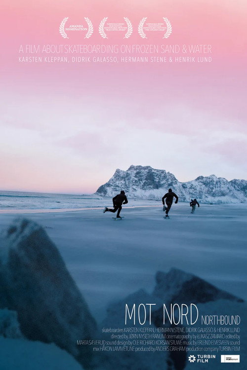 Movie poster for Northbound: Skateboarding on Frozen Sand (2015)