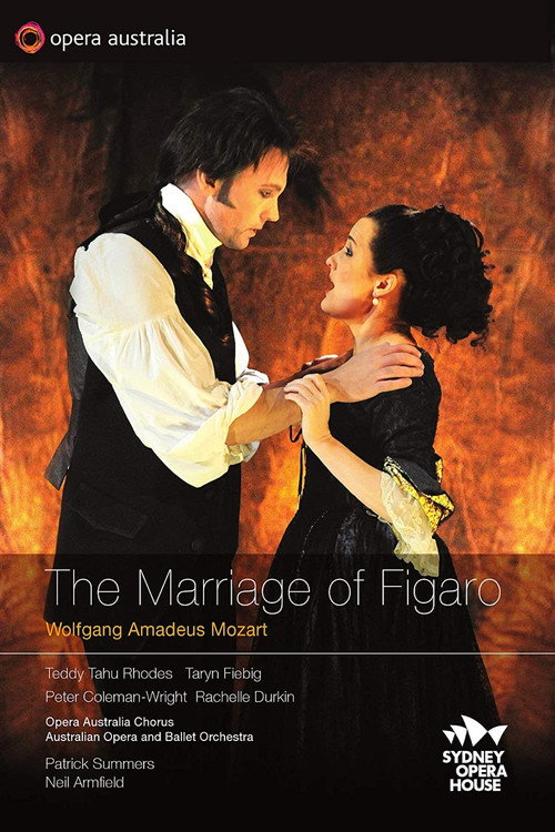 Movie poster for The Marriage of Figaro (2010)