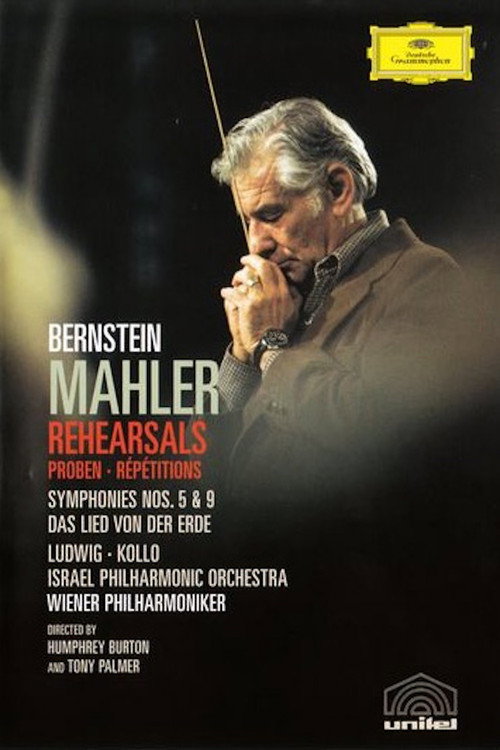 Movie poster for Bernstein Mahler Rehearsal (1976)