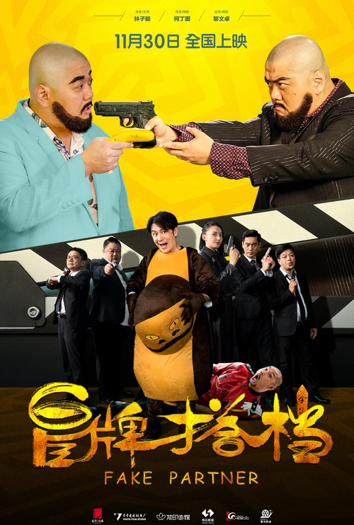 Movie poster for Fake Partner (2018)