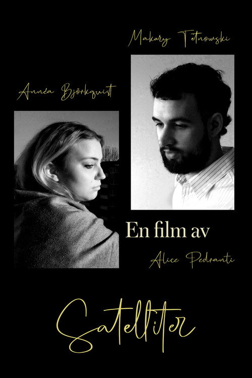 Movie poster for Satellites