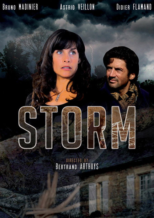 Movie poster for Storm (2006)