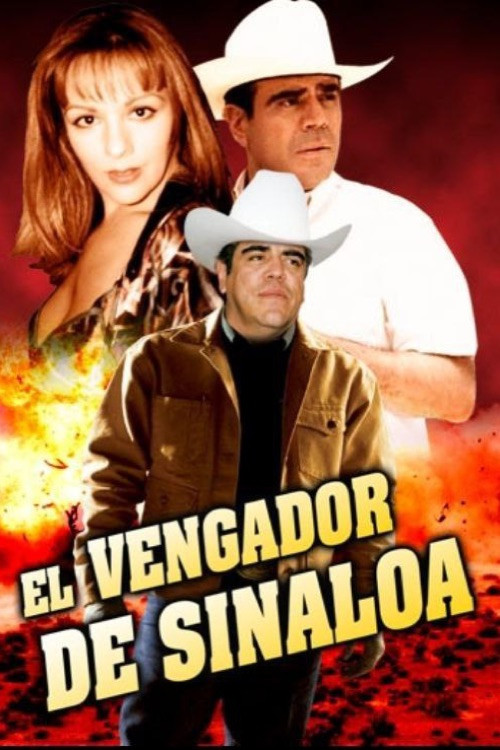 Movie poster for El vengador de Sinaloa (1994)