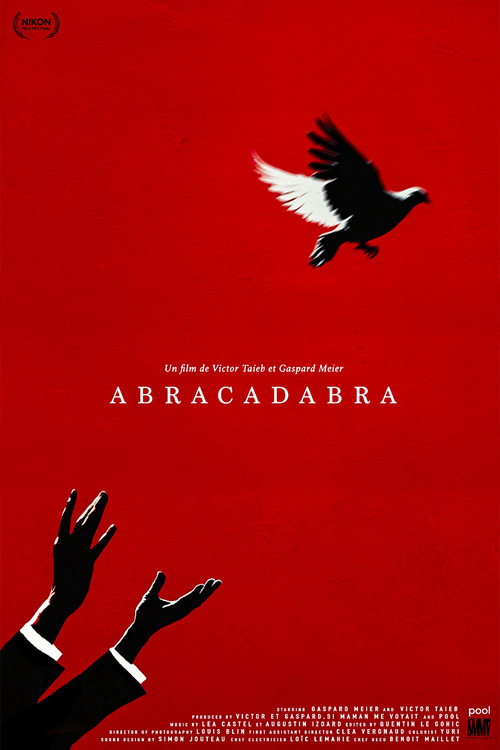 Movie poster for Abracadabra (2025)