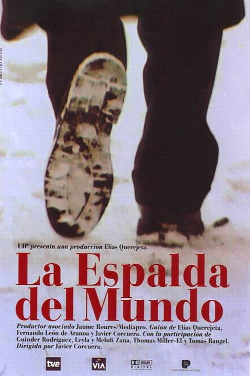 Movie poster for The Back of the World (2000)