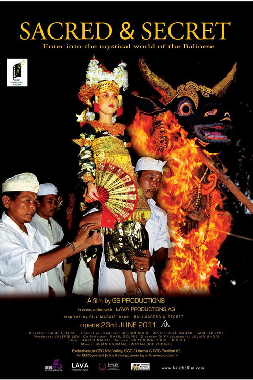 Movie poster for Sacred & Secret (2010)