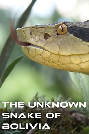 Series poster for The Unknown Snake of Bolivia (2018)