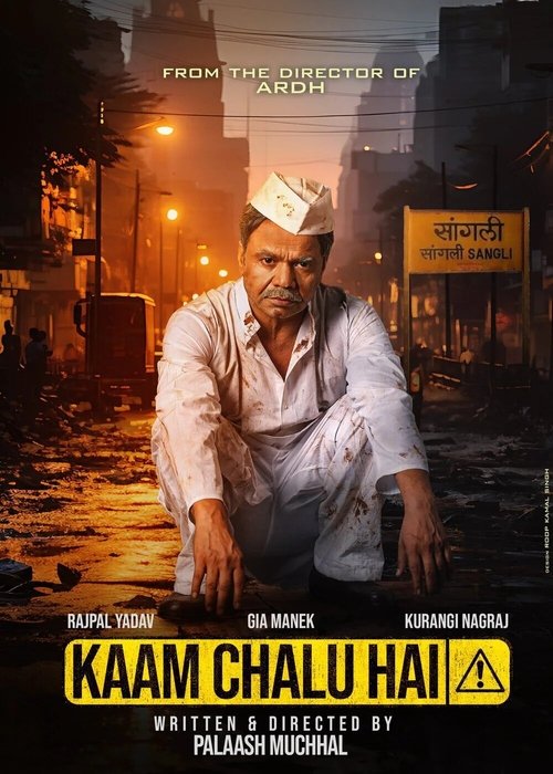 Movie poster for Kaam Chalu Hai (2024)