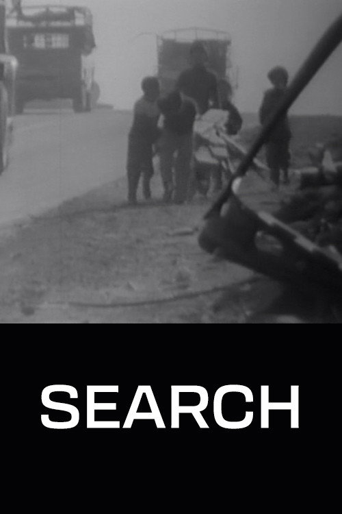 Movie poster for The Search (1981)