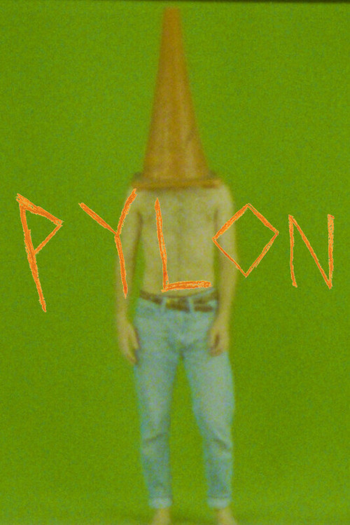 Movie poster for Pylon