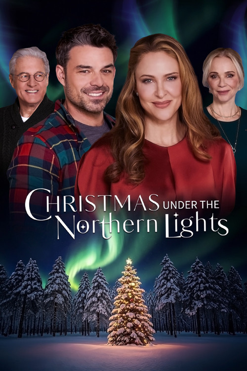 Movie poster for Christmas Under the Northern Lights (2024)