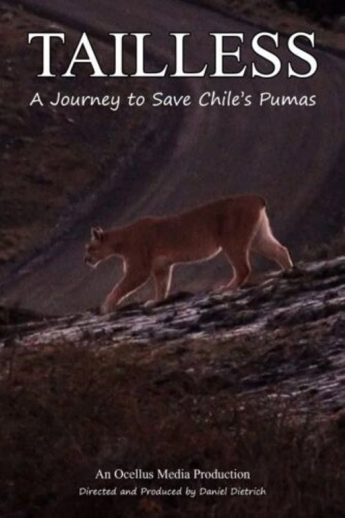 Movie poster for Tailless (2025)