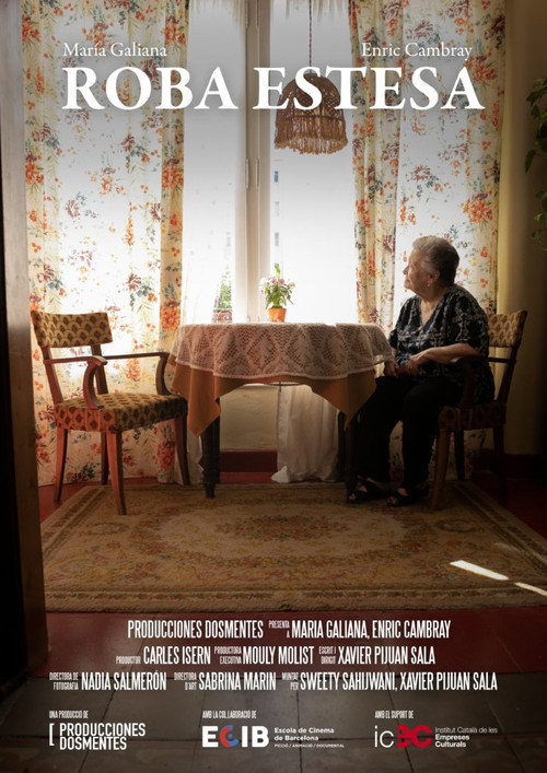 Movie poster for Roba estesa (2025)
