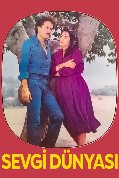 Movie poster for Sevgi Dünyası (1980)
