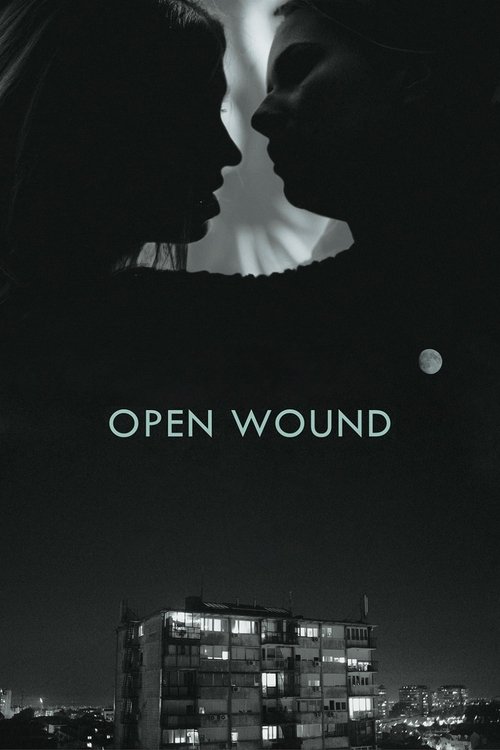 Movie poster for Open Wound (2016)