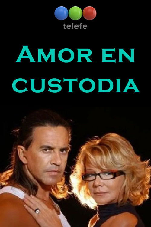 Amor en custodia poster