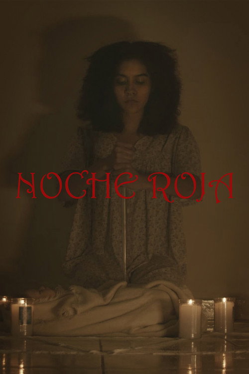 Movie poster for Red Night (2022)