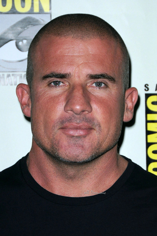 Dominic Purcell profile
