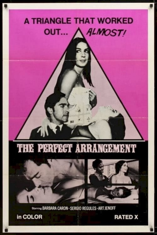 Movie poster for The Perfect Arrangement (1971)