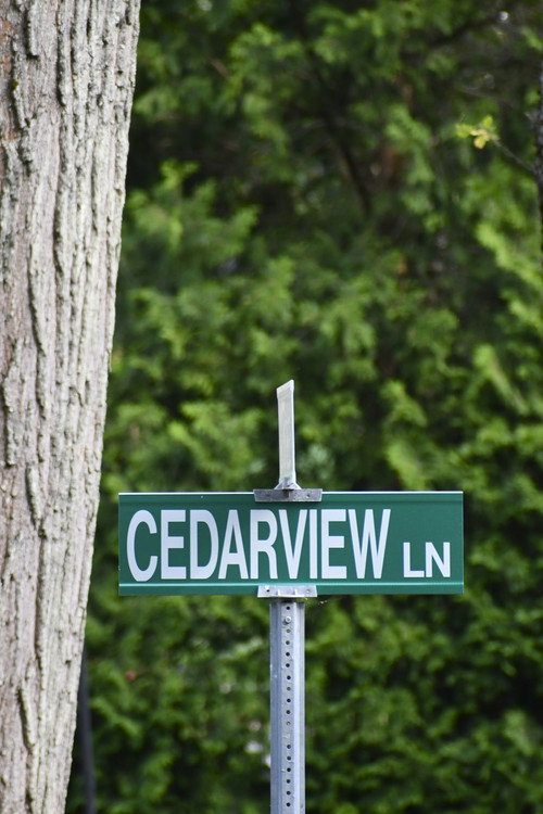 Movie poster for Cedarview (2024)