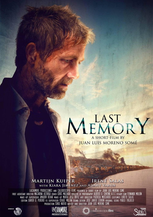 Movie poster for Last Memory (2015)