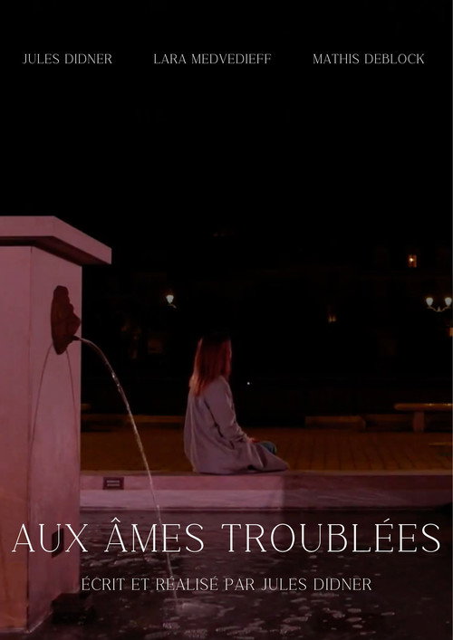 Movie poster for Aux âmes troublées (2023)
