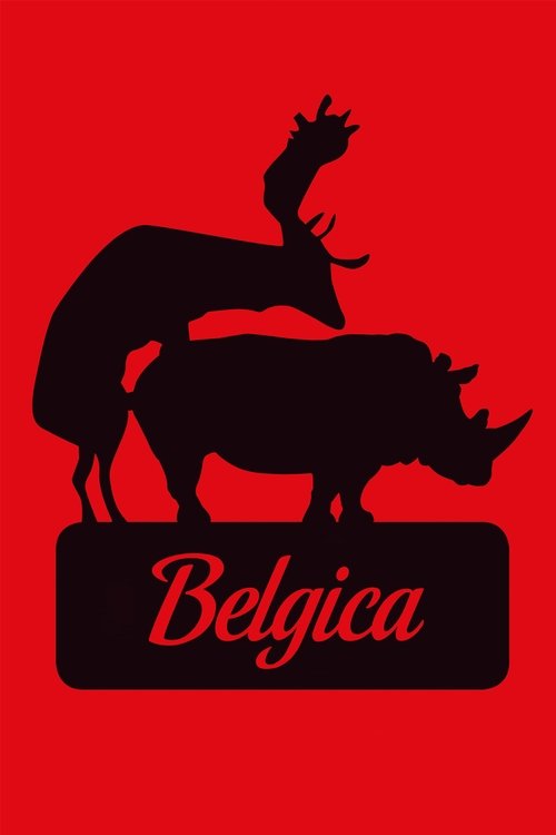 Movie poster for Belgica (2016)