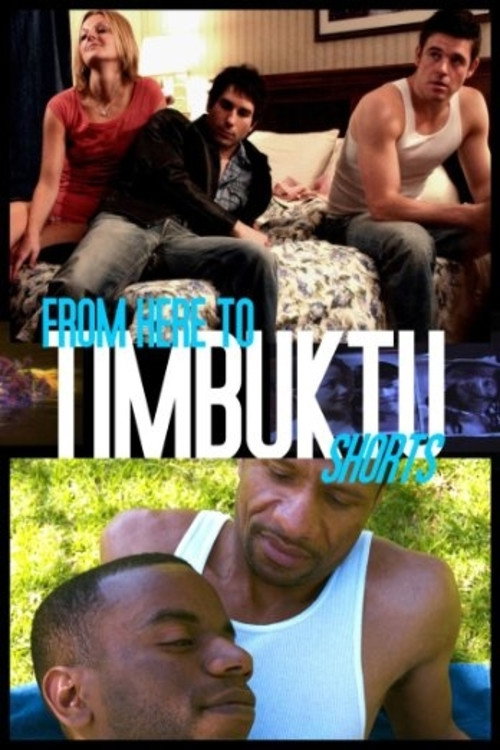 Movie poster for From Here to Timbuktu (2010)