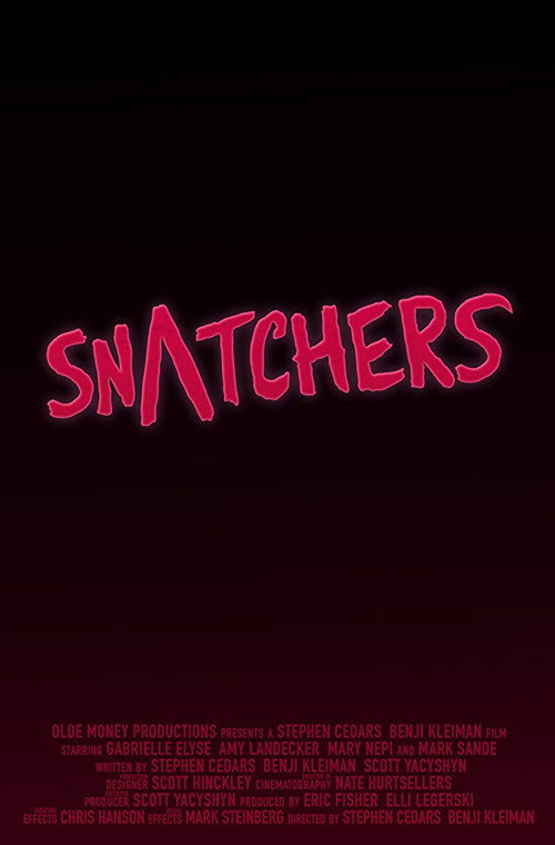 Movie poster for Snatchers (2016)