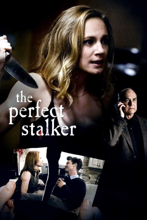 Movie poster for The Perfect Stalker (2016)