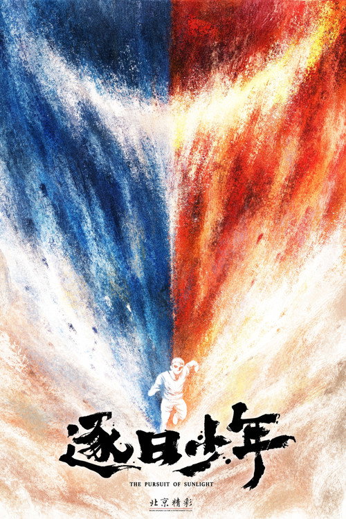 Movie poster for The Pursuit of Sunlight