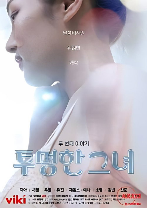 Movie poster for The Transparent Girls Second Story (2022)