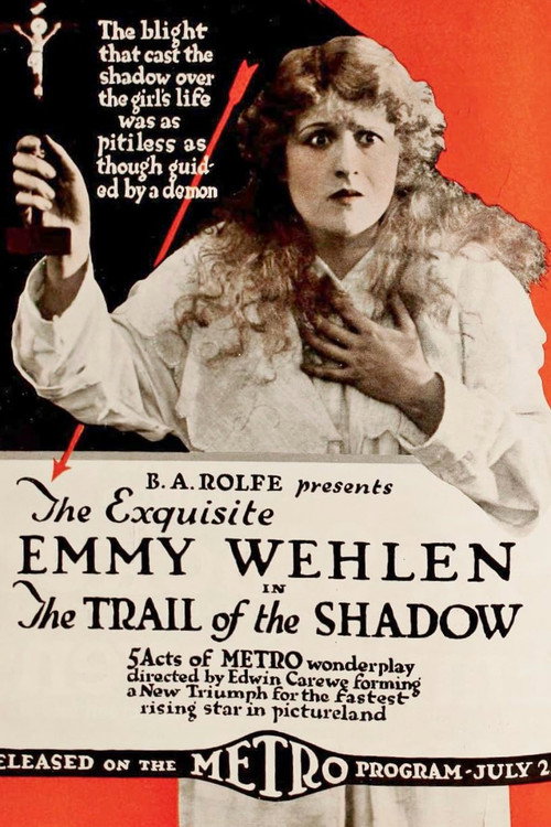 Movie poster for The Trail of the Shadow (1917)